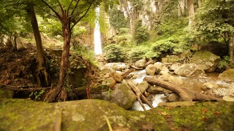 Slider shot of stream rushing down from waterfall in Indonesian forest Stock-Footage 107652806