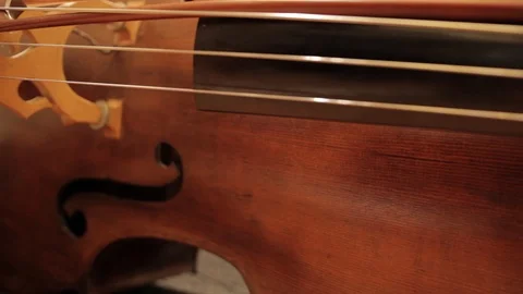 Slider shot of strings of bass laying down. Stock-Footage 86530190
