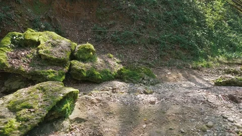 Slider Shot of a Wild Forest and Riverbed in Nature Video stock 74136936
