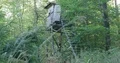 Slider shot wooden raised hide hidden in green autumn season in forest 4k or 4k+ Resolution