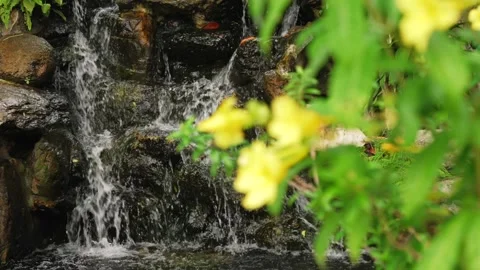 Slider slow motion shot of small waterfall on black rocks surrounded by tropical Stock Footage 290497438