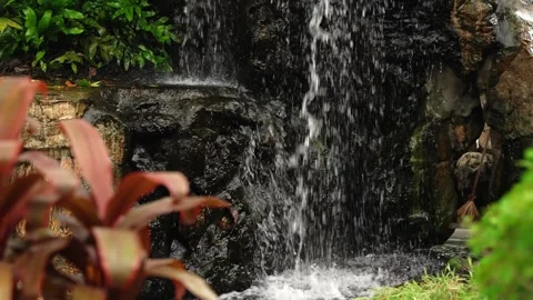 Slider slow motion of small waterfall on black rocks surrounded by tropical Video stock 292730060