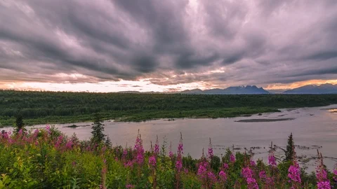 Slider Timelapse of  Fireweed, clouds, and the Chulitna River at sunset Video stock 92105752