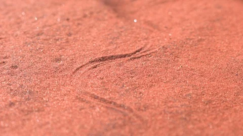 Slider: vertical shot of snake trail on sand, Uluru - Kata Tjuta National Park.  스톡 동영상 115433331