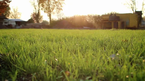 Slidershot on field Stock Footage 39126581