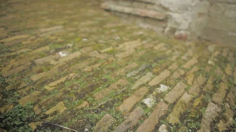 Slidershot of old peaving Stock Footage 39126647