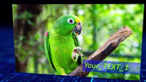 Slideshow 2019 PRO v 1 库存 After Effects