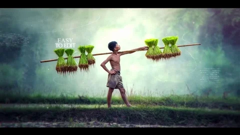 Slideshow Stock After Effects