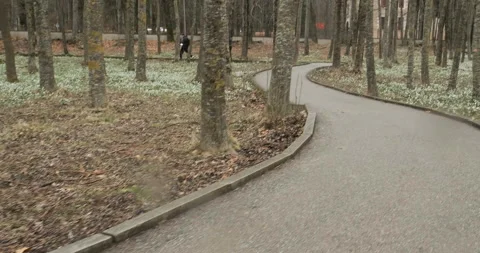 Slide/tilt - Paved path / Lonely forest Stock Footage 175655248