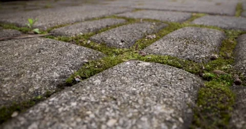Sliding above dirty paving blocks covered with moss and weeds Stock Footage 337048759