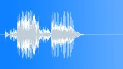 Sliding Door Open ClosetSound Effect