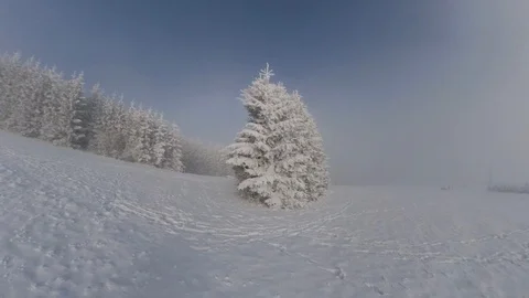 Sliding Down a Ski Slope POV with Snow and Trees on Foggy Sunny Day Stock Footage 124980497