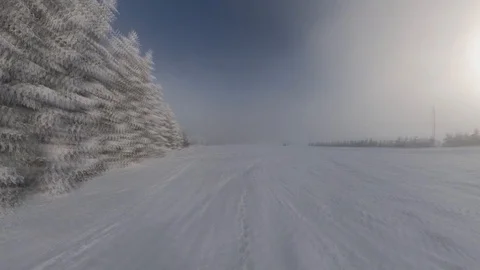 Sliding Down a Ski Slope POV with Snow and Trees on Foggy Sunny Day Fast Motion Stock Footage 124980516