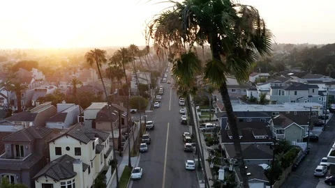 Sliding drone shot of palm tree lined street in Southern California Video stock 113033262