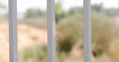 Sliding from ight to small along the gray twigs of the fence Stock Footage 114309366