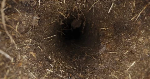 Sliding inside underground soil tunnel Stock Footage 341489096