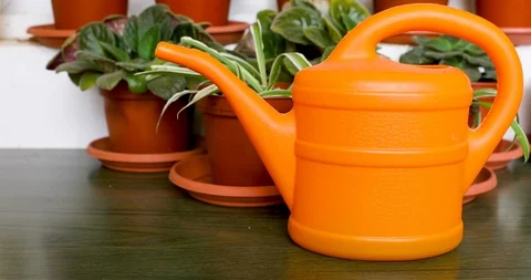 Sliding from left to right along orange garden watering can Stock Footage 116795381