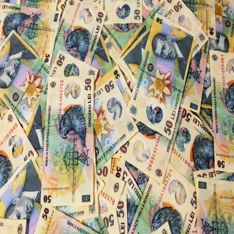 Sliding over layer of romanian currency Видео 69536976