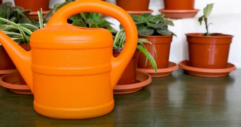 Sliding from right to left along orange garden watering can Stock Footage 114450923