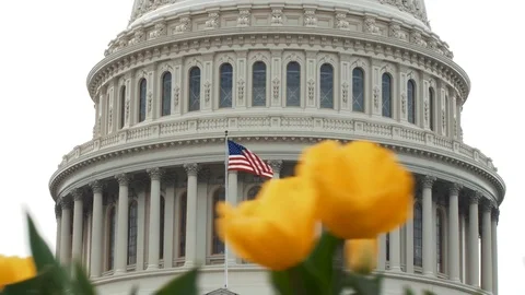 Sliding Shot Capitol Building Stock Footage 107005319