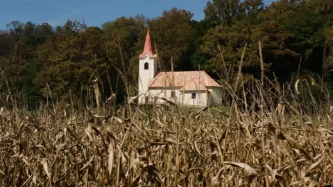 Sliding shot of dry corn stalks in foreground with distant chapel in background. Stock-Footage 285772934