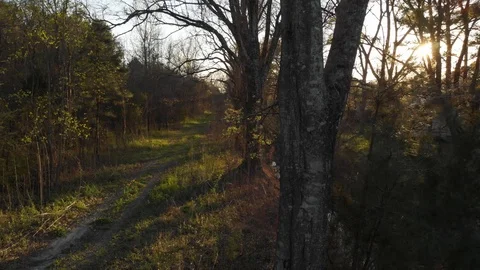 Sliding shot forest walking atv trail sunset behind trees 4K 動画素材 86888310