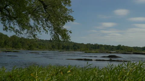 Sliding shot of river with tall grass in the foreground. Stock Footage 68914654