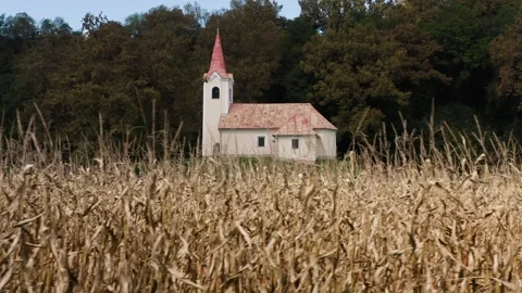 Sliding side of the Corn Field With close-up view of a simple rural chapel. Stock Footage 285772874