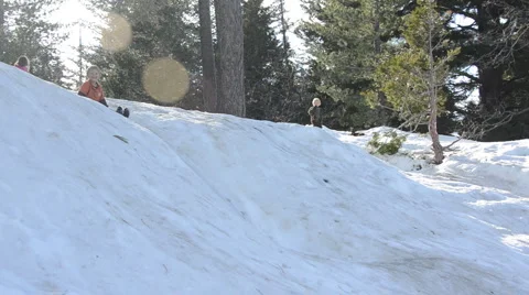 Sliding in the snow Vídeo Stock 1180715