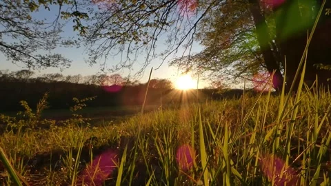Sliding on spring grass with solar aberrations Stock Footage 308935797
