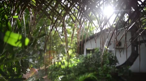 Sliding through grass after rain with sun 動画素材 54254503