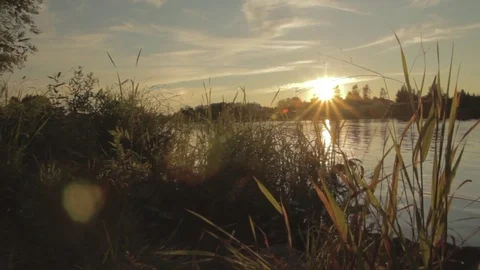 Sliding through the grass towards beautiful river during the sunset Vidéo 80929327