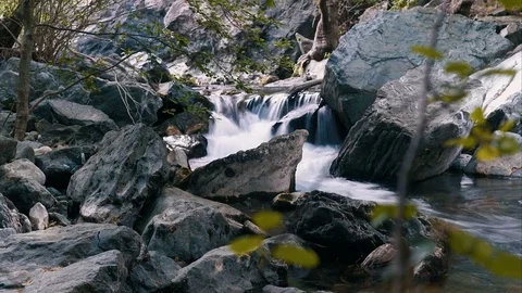 Sliding time lapse shot of water flowing in the forest Stock Footage 80934119