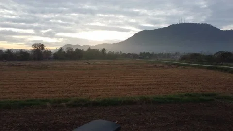 Sliding view of crows near tractor vehicle Stock Footage 150205620