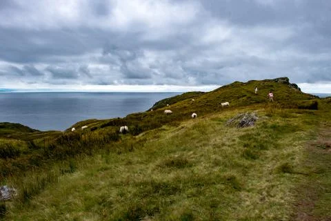 Slieve League Cliffs, County Donegal, Ireland Stock Photos