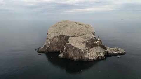 Slight orbit left aerial establishing shot of Bass Rock, North Berwick, Scotland Stock Footage 306986010