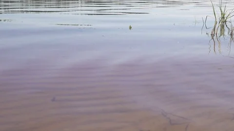 A slight ripple on the surface of the river Stock Footage 76657848