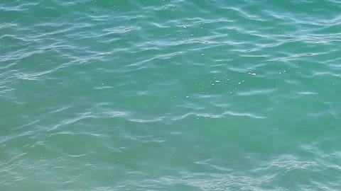 Slight wave of water on surface of blue sea Stock-Footage 255032161