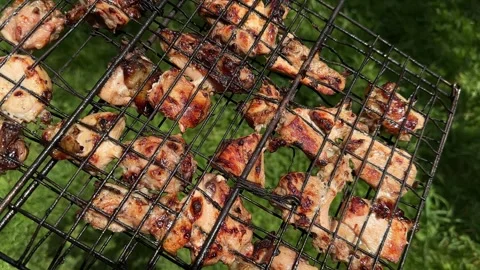 Slightly burnt chicken meat on a grill against a green lawn on a sunny day. The Stock Footage 243701344