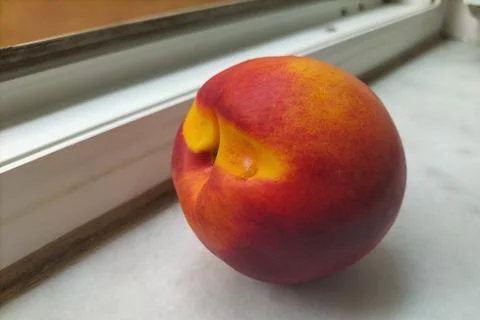 A slightly depressed nectarine fruit, a trace left by the branch on which it Stock Photos