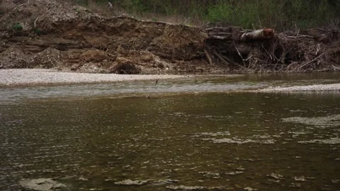 Slightly Elevated View Of Calm River Surface Reflecting Forest Stock Footage 310229156