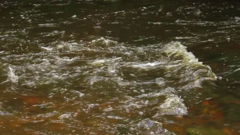 Slightly muddy river cresting in slow motion Vidéo 141382966