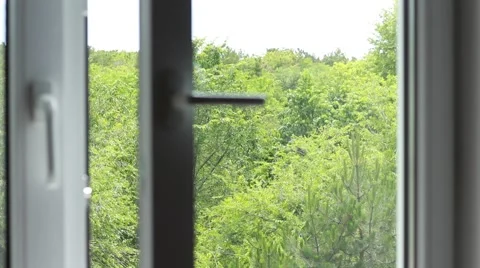Slightly opened window 스톡 동영상 64622604