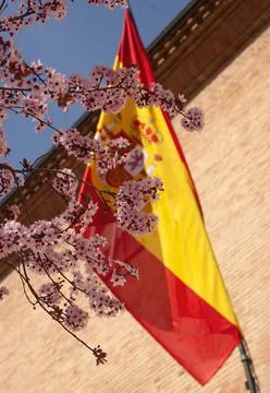The slightly out of focus constitutional flag of spain in spring Foto stock