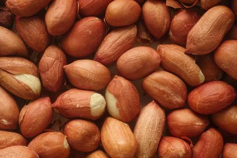 A slightly roasted peanut background. Stock Photos