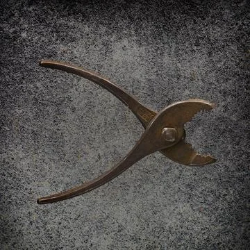 A slightly rusted pair of old pliers. Foto stock