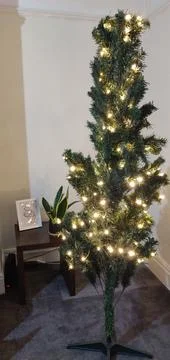 Slim Artificial Christmas Tree with String Lights in Cozy Living Room 스톡 사진