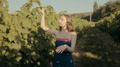 Slim girl in strapless dress posing in rows of vineyards Stock Footage 59383428