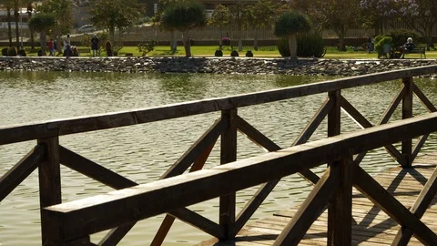 Slim model on a bridge 스톡 동영상 107604246