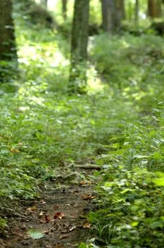 Slim Trails Stock Photos